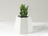 Geometric Planter-Concrete Planter Pot-Unique Plant Lover Gift-Home Office Decor Organization - Flesh & Blooms