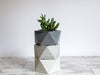 Modern Concrete Planters-Set of 3-Succulent Herb Planters-Geometric Planters - Flesh & Blooms