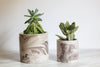 Concrete Planters-Matching Plant Pot Set-Windowsill Planter-Concrete Pots for Plants-Decorative Storage Jars - Flesh & Blooms