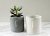 Face Planter Pot-Succulent Plant Pot with Drainage-Plant Dad Gift - Flesh & Blooms