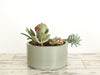 Large Round Concrete Planter-Concrete Bowl-Catchall Bowl-Succulent-Bonsai-Cacti Planter-Lavender Green Gray - Flesh & Blooms