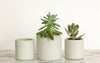 Planter with Saucer-Set of 3 Plant Pots-Concrete Planter with Drainage - Flesh & Blooms