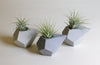 Geometric Air Plant Holder-Mini Concrete Planter-Incense Cone Holder-Small Succulent Pots-Geometric Shelf Art Housewarming Gift - Flesh & Blooms